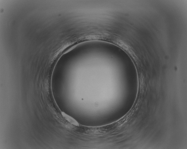 X0000073920297200608181056