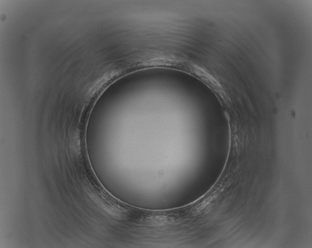 X0000073920298200608181056