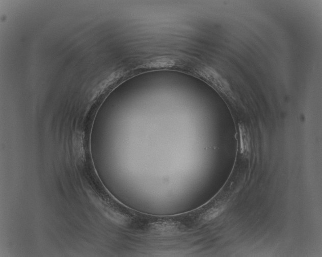 X0000073920300200608181056