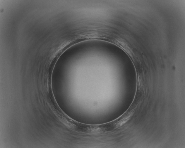 X0000073920301200608181056