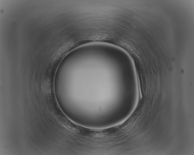 X0000073920303200608181056