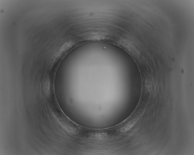 X0000073920304200608181056