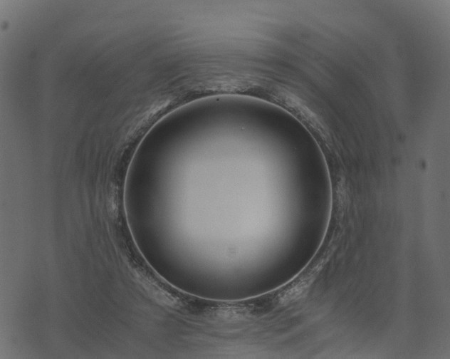 X0000073920305200608181056