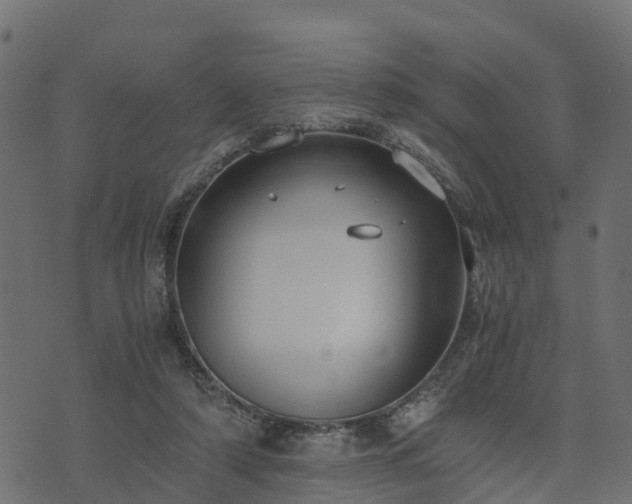 X0000073920306200608181056