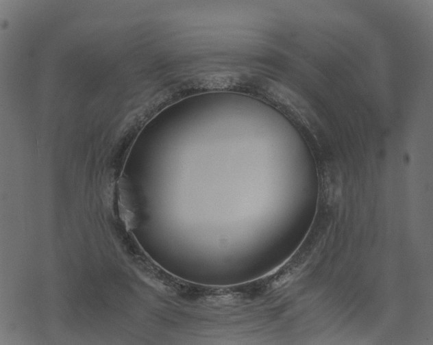 X0000073920307200608181056