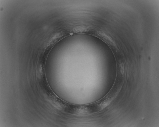 X0000073920308200608181056