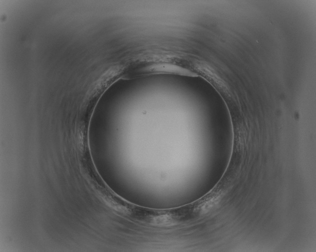 X0000073920309200608181056