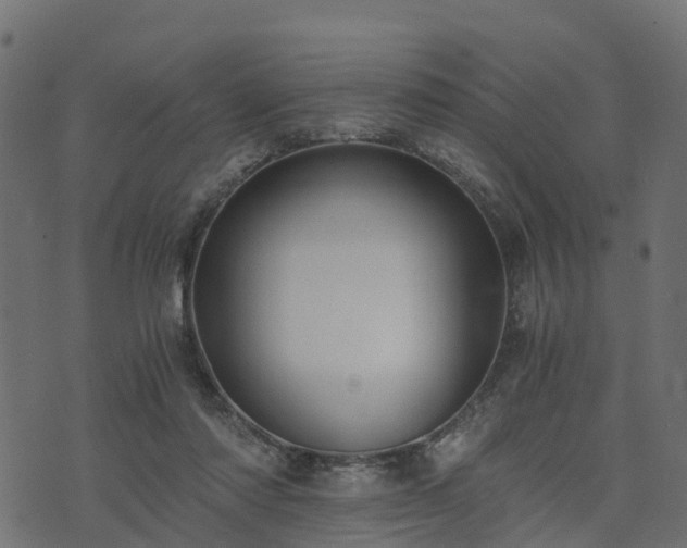 X0000073920310200608181056