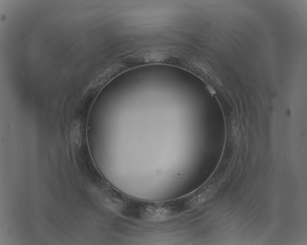 X0000073920311200608181056