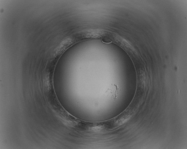 X0000073920312200608181056