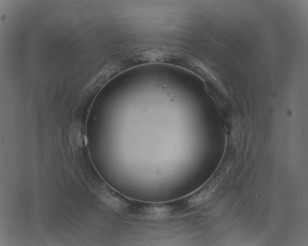 X0000073920313200608181056