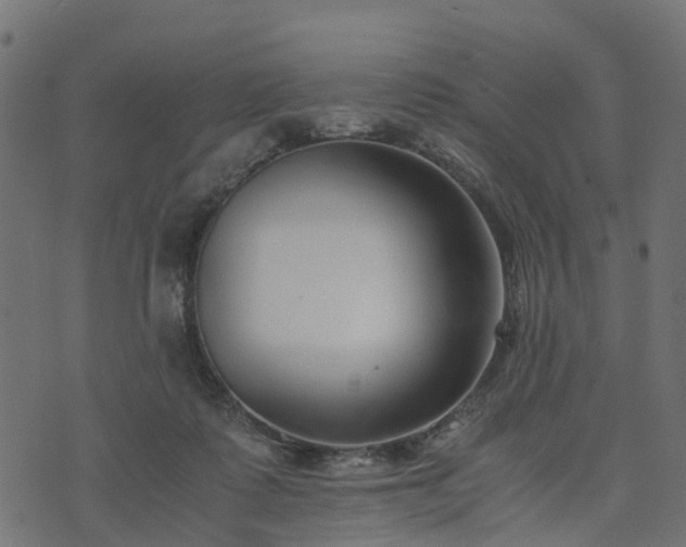 X0000073920315200608181056