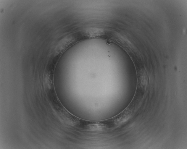 X0000073920316200608181056