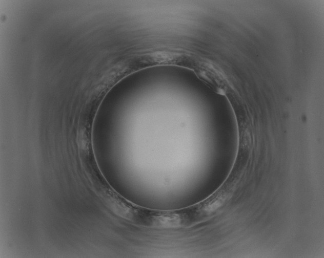 X0000073920317200608181056