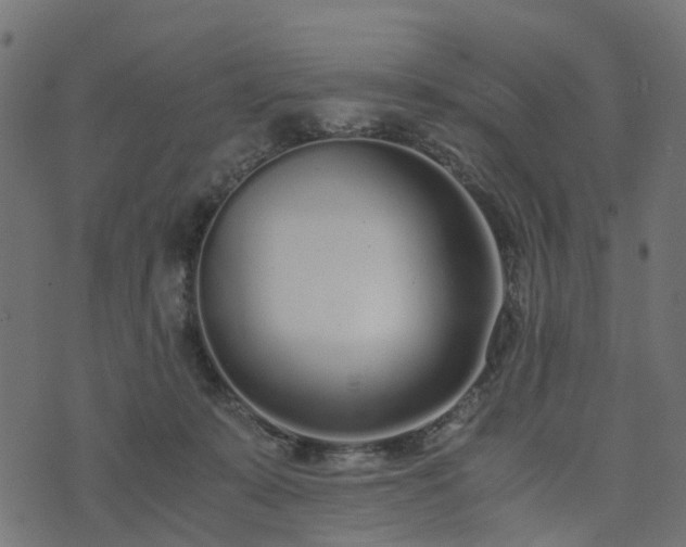 X0000073920319200608181055