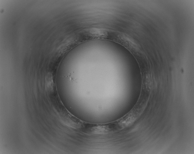 X0000073920320200608181055