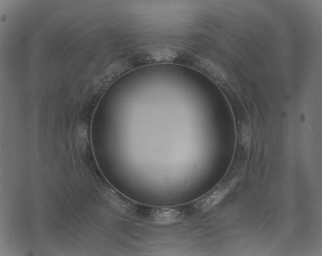 X0000073920321200608181055