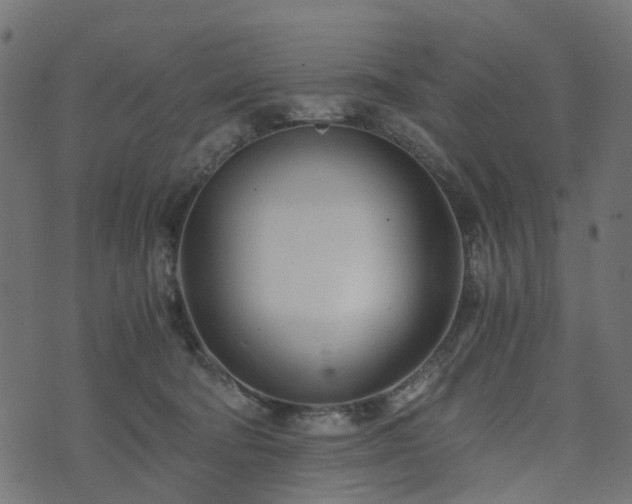 X0000073920322200608181055