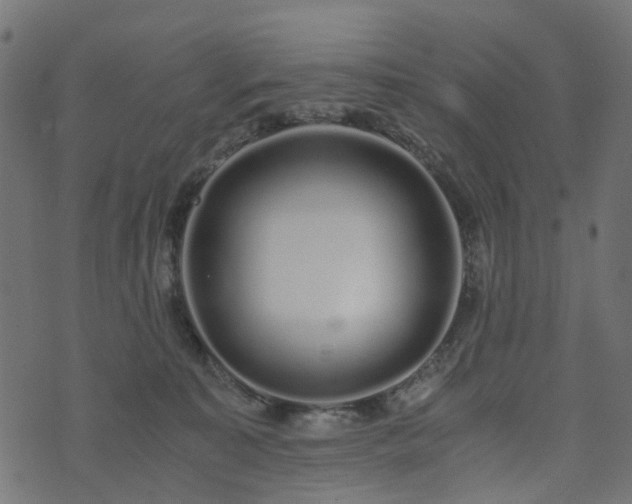 X0000073920323200608181055