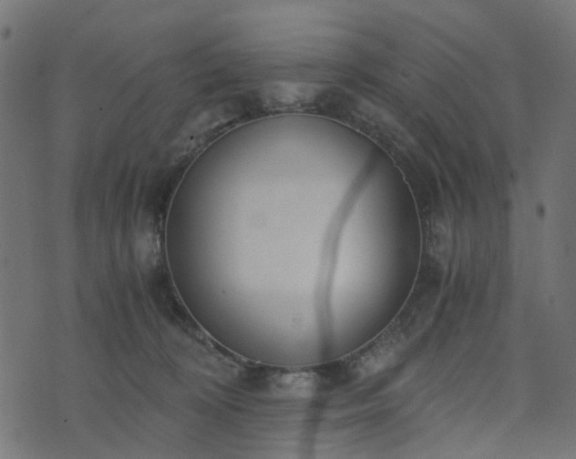 X0000073920324200608181055