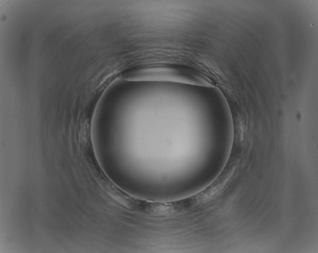 X0000073920325200608181055