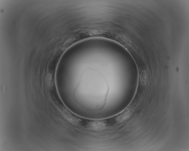 X0000073920327200608181055