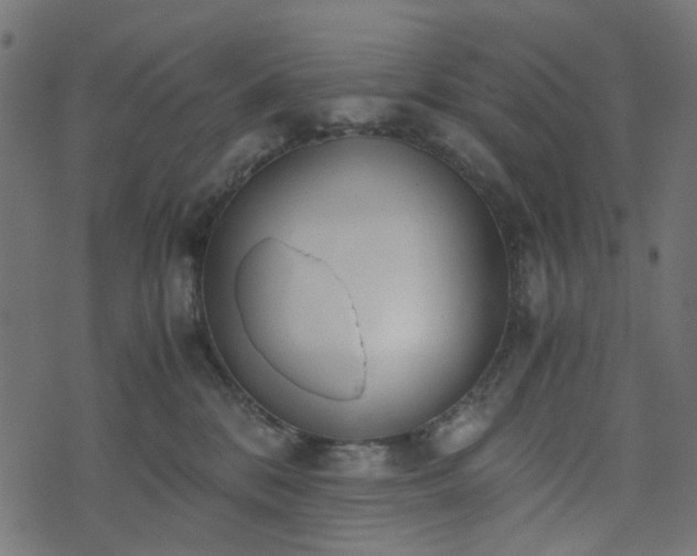 X0000073920328200608181055