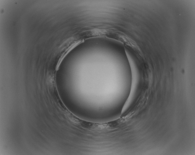 X0000073920329200608181055