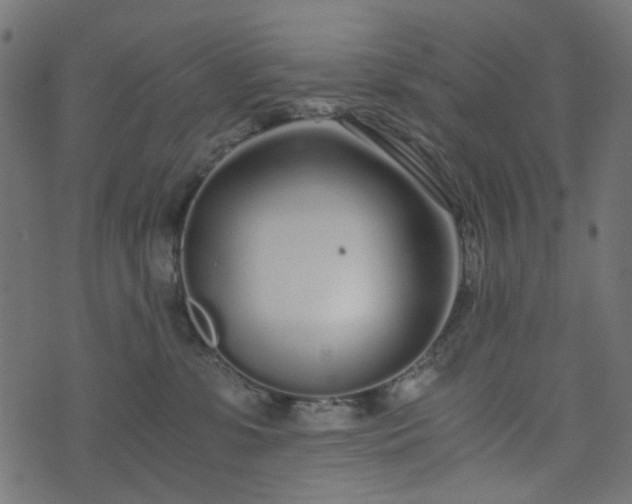 X0000073920331200608181055