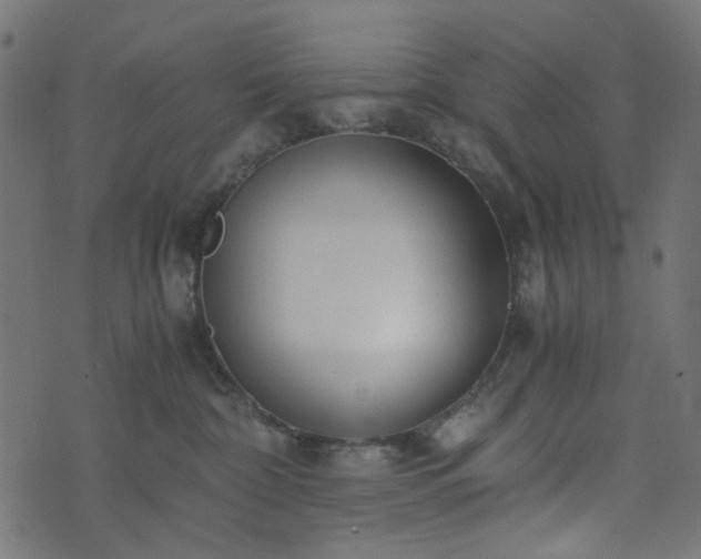 X0000073920332200608181055