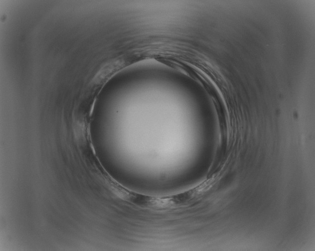 X0000073920333200608181055