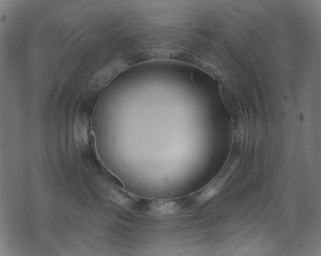 X0000073920334200608181055