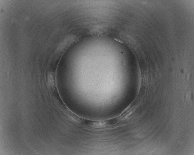 X0000073920335200608181055