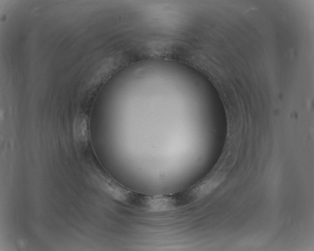 X0000073920336200608181055