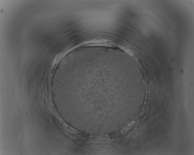 X0000073920337200608181054