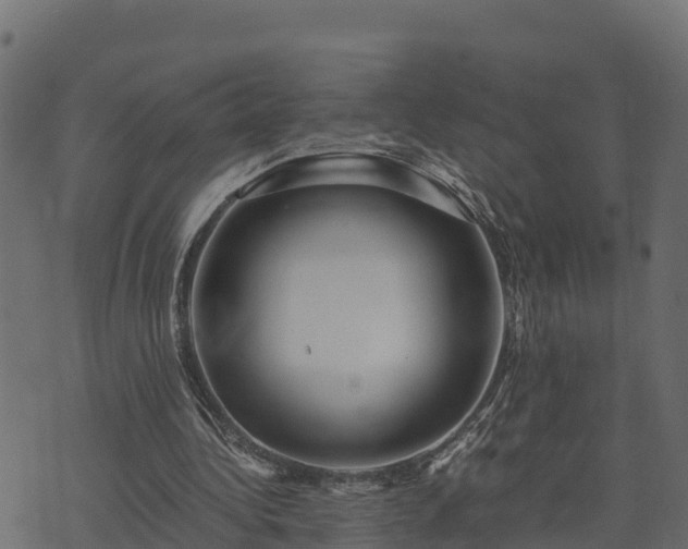 X0000073920340200608181054