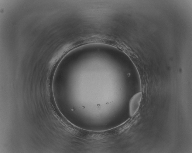 X0000073920341200608181054