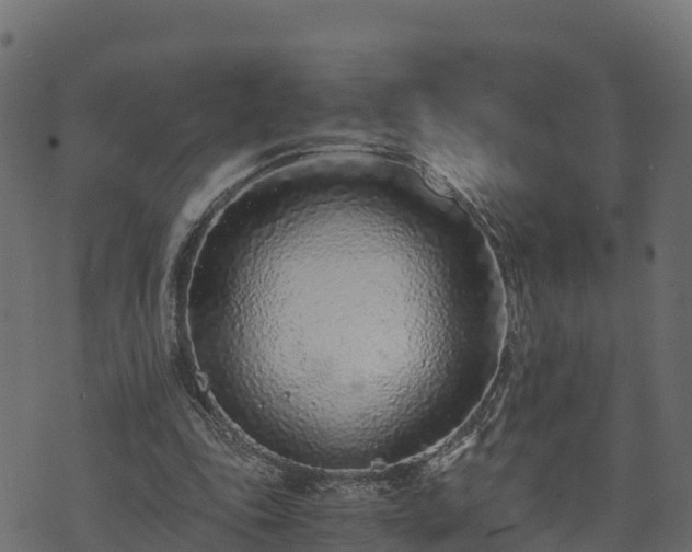 X0000073920343200608181055