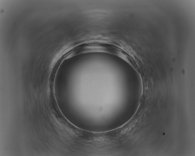 X0000073920344200608181055