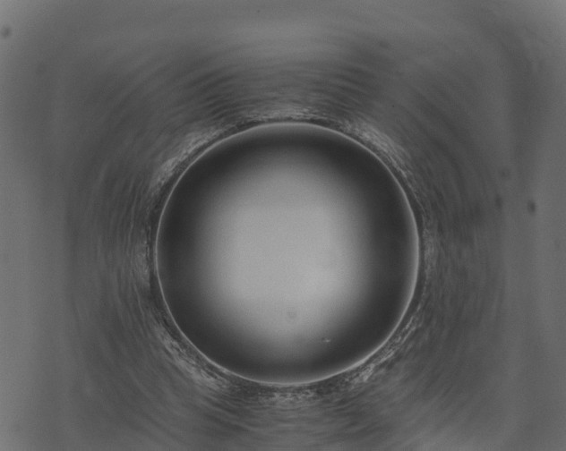 X0000073920345200608181055