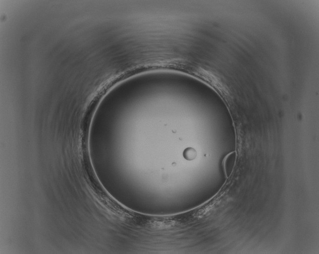 X0000073920346200608181055