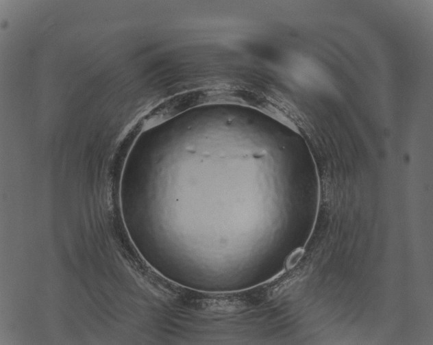 X0000073920347200608181055