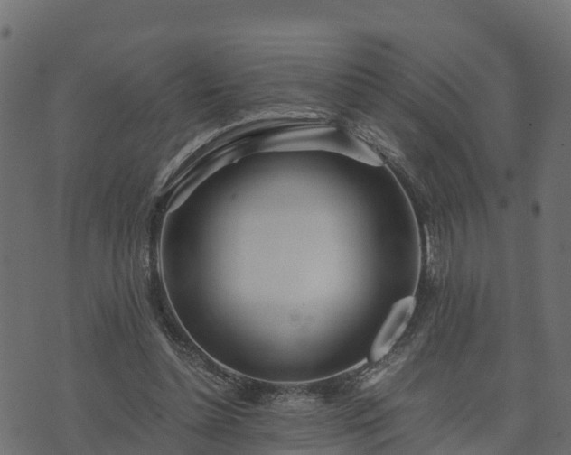 X0000073920348200608181055