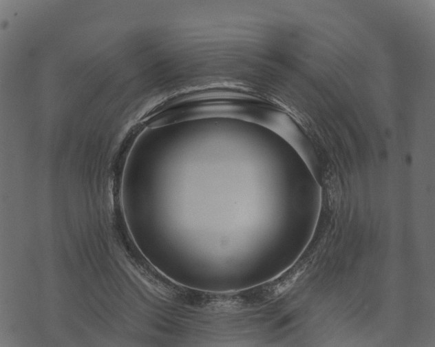 X0000073920350200608181055