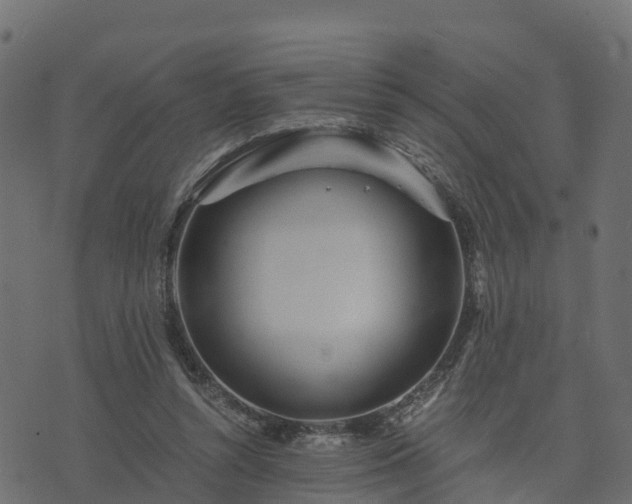 X0000073920352200608181055