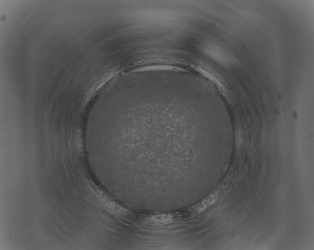 X0000073920353200608181055