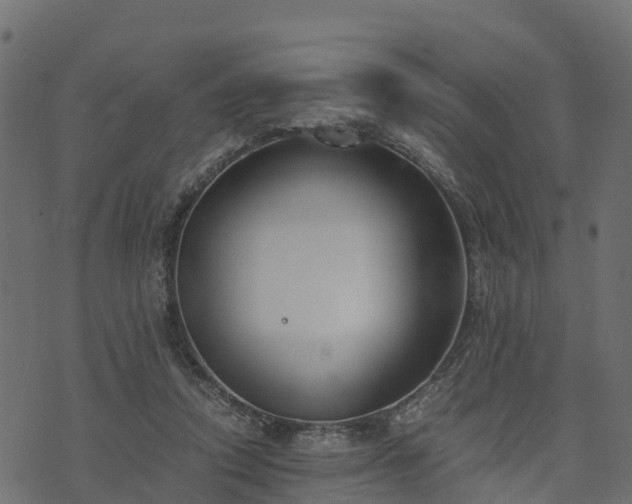 X0000073920354200608181055