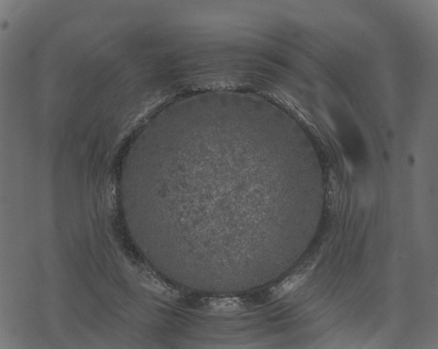 X0000073920355200608181055