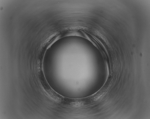 X0000073920356200608181055