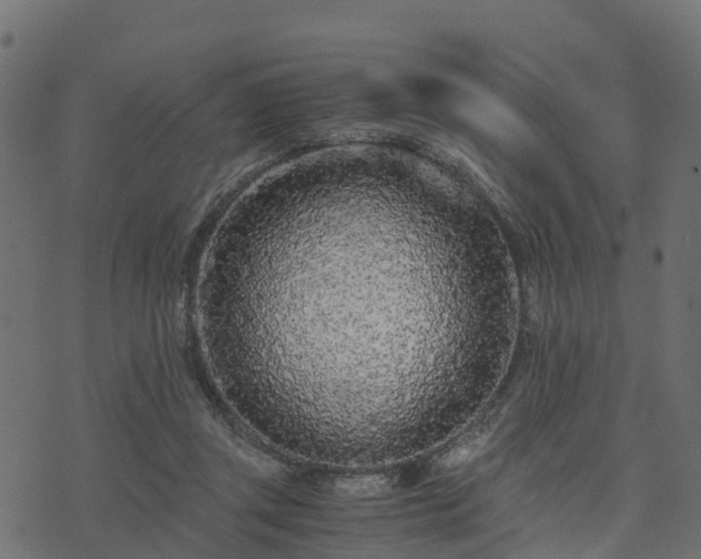 X0000073920357200608181055